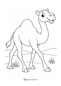 Camel walking with a smile animal coloring page