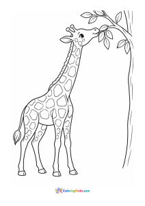 Giraffe eating leaves animal coloring page