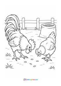 Rooster and hen searching for grains coloring page