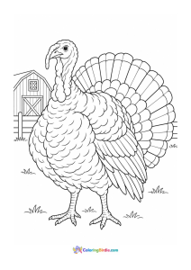 Turkey in a farm coloring page