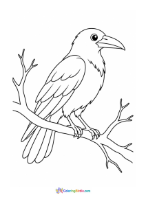 Crow sitting on a branch coloring page