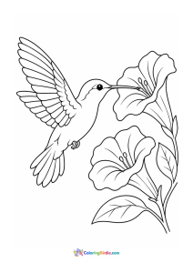 Hummingbird visiting a trumpet flower coloring page