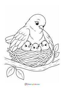 Mother bird keeping chicks warm coloring page