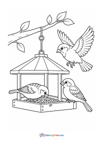 Sparrows sharing a bird feeder coloring page