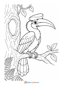 Hornbill coloring page
