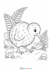 Kiwi bird coloring page