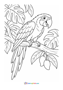 Macaw coloring page