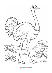 Ostrich coloring page