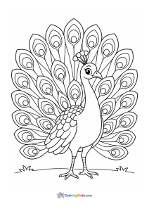 Peacock showing its tail coloring page