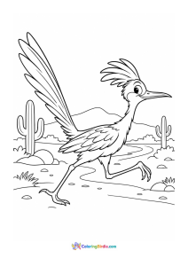 Roadrunner bird coloring page