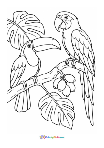 Toucan and parrot on a tropical branch coloring page