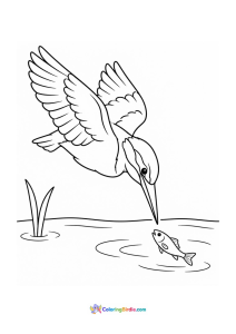 Kingfisher diving to catch fish coloring page