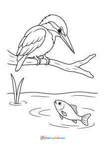 Kingfisher watching for a fish coloring page