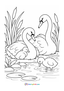 Swan family resting near the reeds coloring page