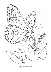 Butterfly drinking nectar from hibiscus flower coloring page