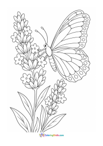 Butterfly on a lavender stem coloring page