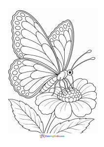 Butterfly resting on a flower coloring page