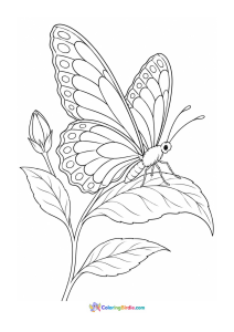 Butterfly resting on a leaf coloring page
