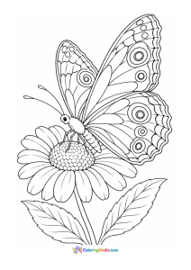 Butterfly sitting on a daisy coloring page