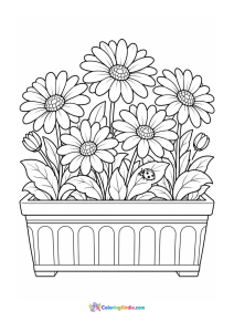 Daisies in a garden planter coloring page