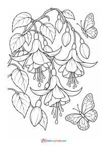 Butterflies near fuchsia flowers coloring page