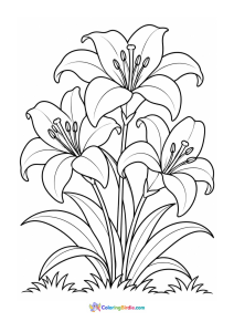 Three large lilies growing together coloring page